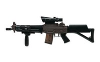 sig 551b.jpg